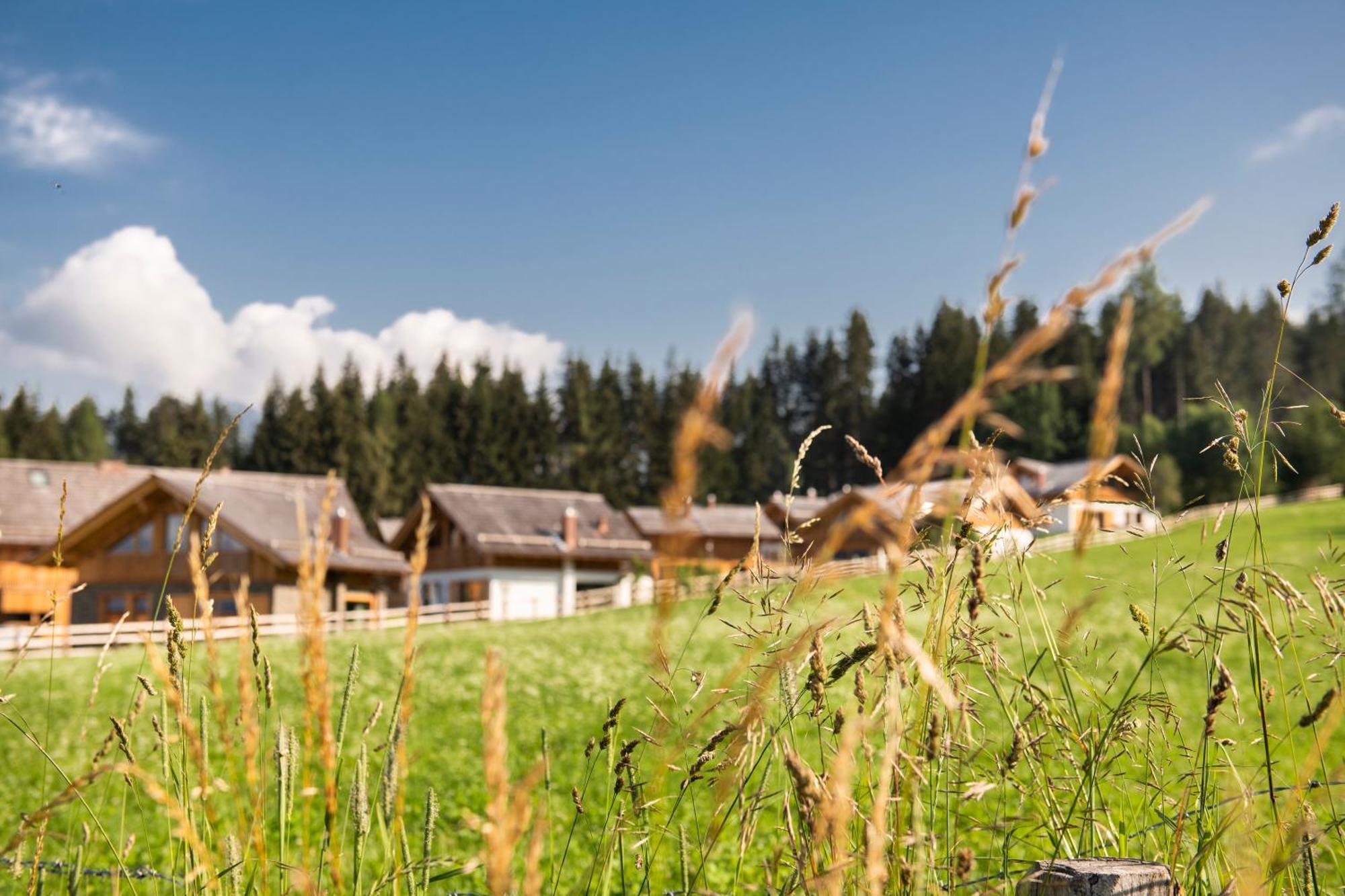 Lerchpeuntgut Alpenfreud Apartments Tamsweg Exterior foto